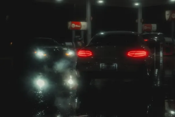 Casino Dove Bingo App Android/iOS